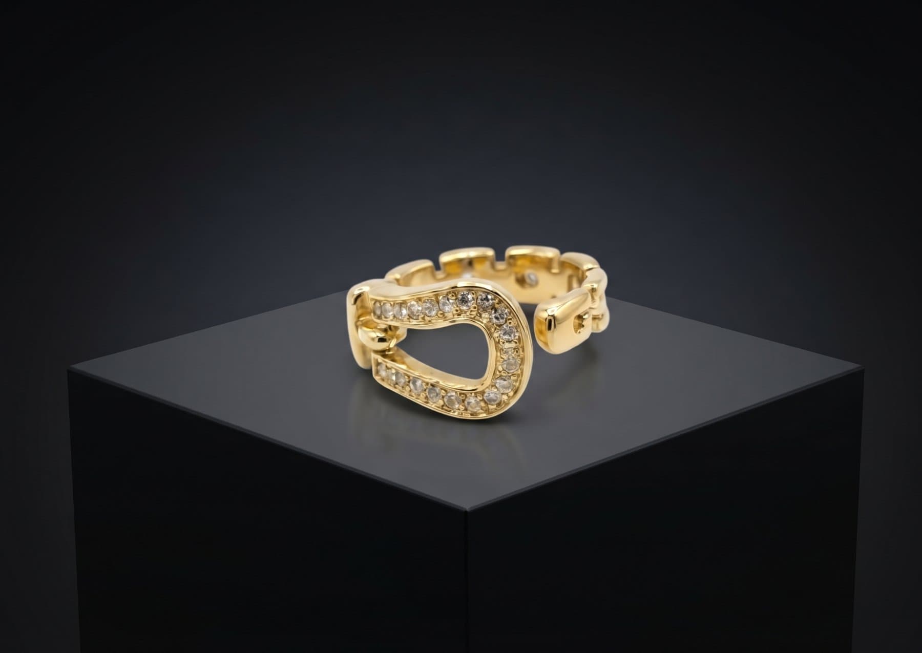 ANILLO HEBILLA